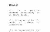 INSULIN -It is a peptide hormone consisting of 51 amino acids. -It is secreted by (β-cells of islets of Langerhans. -It is secreted in the form of proinsulin.