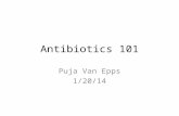 Antibiotics 101 Puja Van Epps 1/20/14. Beta-lactams Core PCN structure Core Cephalosporin structure.