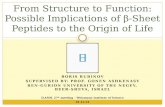 BORIS RUBINOV SUPERVISED BY: PROF. GONEN ASHKENASY BEN-GURION UNIVERSITY OF THE NEGEV, BEER-SHEVA, ISRAEL From Structure to Function: Possible Implications.