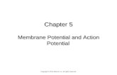 Chapter 5 Membrane Potential and Action Potential Copyright © 2014 Elsevier Inc. All rights reserved