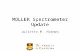 MOLLER Spectrometer Update Juliette M. Mammei. O UTLINE The Physics – Search for physics beyond the Standard Model – Interference of Z boson with single.