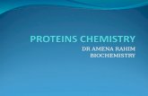 DR AMENA RAHIM BIOCHEMISTRY. BIOMEDICAL IMPORTANCE In addition to providing the monomer units from which the long polypeptide chains of proteins are synthesized,