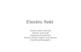 Electric field Electric field intensity Electric potential Membrane potential Electric fields organs and tissues Electrocardiography