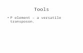 Tools P element – a versatile transposon.. P-element structure Figure 14-16.