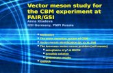 Vector meson study for the CBM experiment at FAIR/GSI Anna Kiseleva GSI Germany, PNPI Russia   Motivation   The muon detection system of CBM   Vector.