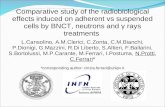 Comparative study of the radiobiological effects induced on adherent vs suspended cells by BNCT, neutrons and γ rays treatments L.Cansolino, A.M.Clerici,