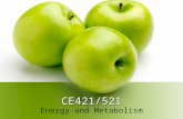 CE421/521 Energy and Metabolism. Bioenergetics Thermodynamic considerations Thermodynamic relationships govern whether a reaction can occur Simply because.