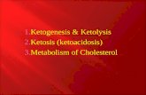 1. Ketogenesis & Ketolysis 2. Ketosis (ketoacidosis) 3. Metabolism of Cholesterol.