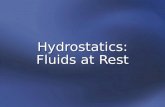 Hydrostatics: Fluids at Rest. applying Newtonian principles to fluids hydrostatics—the study of stationary fluids in which all forces are in equilibrium.