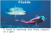 A fluid is anything that flows (liquid or a gas) Fluids.