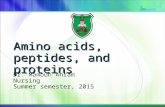 Amino acids, peptides, and proteins Dr. Mamoun Ahram Nursing Summer semester, 2015
