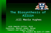 The Biosynthesis of Alliin Jill Maria Hughes EU Project No.QLK1-CT-1999-00498 with Hamish Collin, Rick Cosstick, Meriel Jones, Brian Tomsett and Angela.