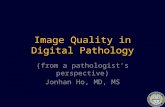Image Quality in Digital Pathology (from a pathologist’s perspective) Jonhan Ho, MD, MS