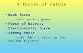 4 forces of nature Weak force holds quarks together Force of Gravity Electrostatic force Strong force hold the + charges in the nucleus together.