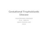 Gestational Trophoblastic Disease YASHODHARA PRADEEP Prof., OBGYN QMH CSMMU LKO 2014.