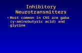 Inhibitory Neurotransmitters Most common in CNS are gaba (γ- aminobutyric acid) and glycine.