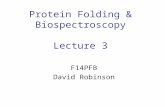 Protein Folding & Biospectroscopy Lecture 3 F14PFB David Robinson