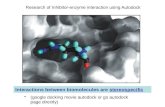 Interactions between biomolecules are stereospecific Research of Inhibitor-enzyme interaction using Autodock (google docking movie autodock or go autodock.