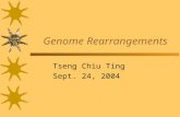 Genome Rearrangements Tseng Chiu Ting Sept. 24, 2004.