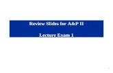 1 Review Slides for A&P II Lecture Exam 1. 2 Blood straw colored liquid portion of blood 55% of blood 45% of blood (= hematocrit)  globulins  globulins