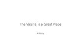 The Vagina is a Great Place K Doody. Disclaimer INVO Bioscience (IVOB) is a publicly traded stock A small amount of shares (