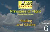 Lecture Leading Cadet Training Principles of Flight 6 Stalling and Gliding.