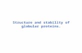Structure and stability of globular proteins.. Aliphatic amino acids and Gly.