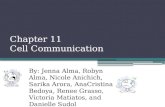 Chapter 11 Cell Communication By: Jenna Alma, Robyn Alma, Nicole Anichich, Sarika Arora, AnaCristina Bedoya, Renee Grasso, Victoria Matiatos, and Danielle