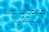 Co-evolution of Black Holes and Galaxies: Small Scales Issues Andrés Escala Astorquiza DAS, U. de Chile.