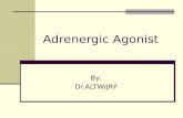 Adrenergic Agonist By: Dr.ALTWIJRY. Adrenergic Drugs  Adrenergic receptors are divided into two major types according to drug potency on the receptors.