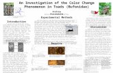 An Investigation of the Color Change Phenomenon in Toads (Bufonidae) Andrew Rosendale Introduction Experimental Methods Results α-MSH Melatonin References.