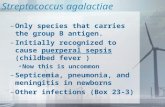 Streptococcus agalactiae –Only species that carries the group B antigen. –Initially recognized to cause puerperal sepsis (childbed fever ) Now this is.