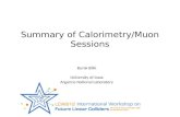 Summary of Calorimetry/Muon Sessions Burak Bilki University of Iowa Argonne National Laboratory.