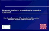 Genomic studies of schizophrenia: mapping madness? Mike Owen, Department of Psychological Medicine, Wales College of Medicine, Cardiff University, UK.