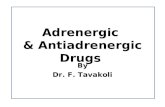 Adrenergic & Antiadrenergic Drugs By Dr. F. Tavakoli.