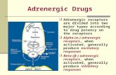 Adrenergic Drugs  Adrenergic receptors are divided into two major types according to drug potency on the receptors  Alpha-(α-) adrenergic receptors,