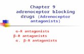 Chapter 9 adrenoceptor blocking drugs (Adrenoceptor antagonists) α-R antagonists β-R antagonists α 、 β-R antagonists.