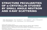 STRUCTURE PECULIARITIES OF α- CRYSTALLIN STUDIED BY SMALL ANGLE NEUTRON AND X-RAY SCATTERING T.N. Murugova 1, O.I. Ivankov 1,5, A.I. Kuklin 1,3, K.O. Muranov.