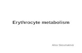 Erythrocyte metabolism Alice Skoumalová. Erythrocytes  deliver oxygen to body tissues and remove carbon dioxide and protons  biconcave 7.7μm  lack.