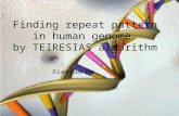 Finding repeat pattern in human genome by TEIRESIAS algorithm Xiaojun Hu.