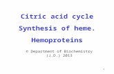 1 Citric acid cycle Synthesis of heme. Hemoproteins © Department of Biochemistry (J.D.) 2013.