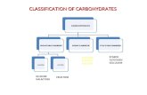 CLASSIFICATION OF CARBOHYDRATES GLUCOSE GALACTOSE MALTOSE LACTOSE SUCROSE STARCH GLYCOGEN CELLULOSE CARBOHYDRATEMONOSACCHARIDE ALDOSE KETOSE DISACCHARIDEPOLYSACCHARIDE.