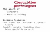 Clostridium perfringens The agent of - Gangrene - Food poisoning Bacteria features: GPB, Capsulate, non-motile. Spores: bulging Rapidly growing (doubling.