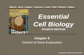 Chapter 8 Control of Gene Expression Essential Cell Biology FOURTH EDITION Copyright © Garland Science 2014 Alberts Bray Hopkin Johnson Lewis Raff Roberts