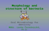 Morphology and structure of bacteria Oral Microbiology for dentistry MUDr. Lenka Černohorská, Ph.D