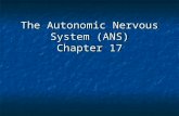 The Autonomic Nervous System (ANS) Chapter 17. Autonomic Nervous System (ANS) Motor regulation of smooth muscle, cardiac muscle, glands & adipose tissue
