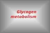Glycogen metabolism. Glycogen is homopolysaccharide formed of branched ±-D- GLUCOSE units (±1,4and ±1,6) each branch is made of 6-12 glucose units, at