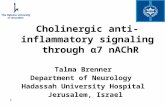 1 Cholinergic anti-inflammatory signaling through α7 nAChR Talma Brenner Department of Neurology Hadassah University Hospital Jerusalem, Israel.
