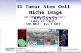 Fuhai Li, Ph.D. BBP-TMHRI, Feb 7 2011 3D Tumor Stem Cell Niche Image Analysis  NCI-ICBP CMCD U54 Progress Report.