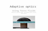 Adaptive optics Using Ferro-fluids Mathieu De Goer-de Herve and Raphael-David Lasseri (ENS Cachan)